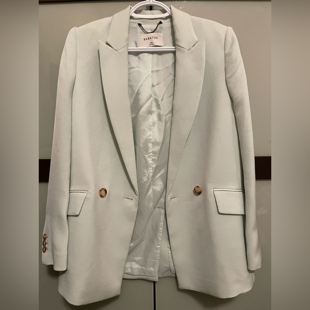 Aritzia Babaton Blazer